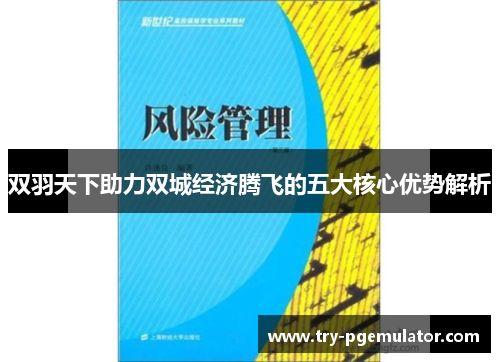 双羽天下助力双城经济腾飞的五大核心优势解析