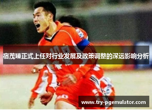 宿茂臻正式上任对行业发展及政策调整的深远影响分析