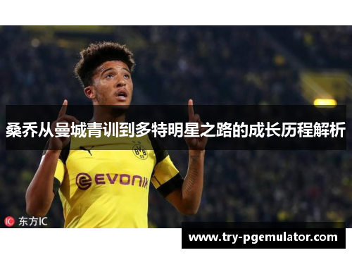 桑乔从曼城青训到多特明星之路的成长历程解析