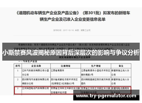 小斯禁赛风波揭秘原因背后深层次的影响与争议分析