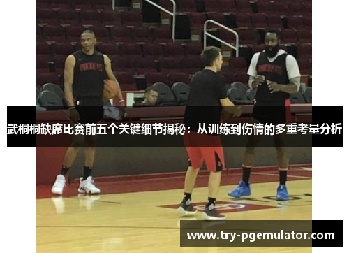 武桐桐缺席比赛前五个关键细节揭秘：从训练到伤情的多重考量分析