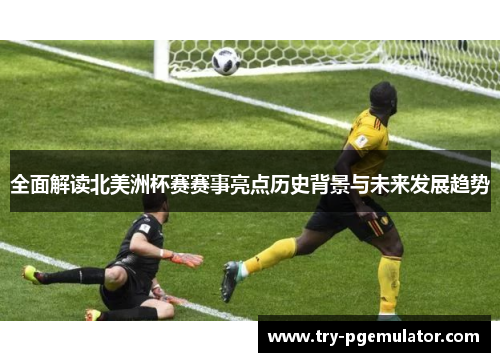 全面解读北美洲杯赛赛事亮点历史背景与未来发展趋势