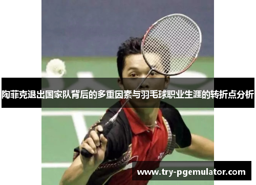 陶菲克退出国家队背后的多重因素与羽毛球职业生涯的转折点分析