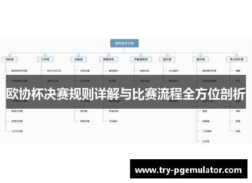 欧协杯决赛规则详解与比赛流程全方位剖析