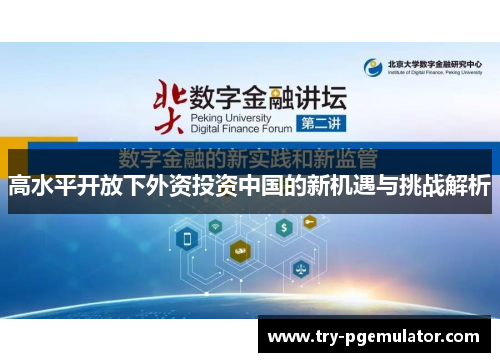 高水平开放下外资投资中国的新机遇与挑战解析