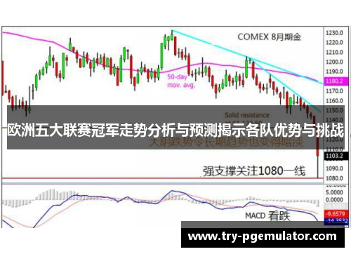 欧洲五大联赛冠军走势分析与预测揭示各队优势与挑战