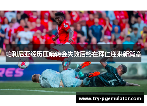 帕利尼亚经历压哨转会失败后终在拜仁迎来新篇章