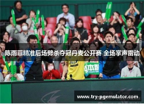 陈雨菲精准后场劈杀夺冠丹麦公开赛 全场掌声雷动