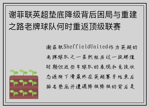 谢菲联英超垫底降级背后困局与重建之路老牌球队何时重返顶级联赛